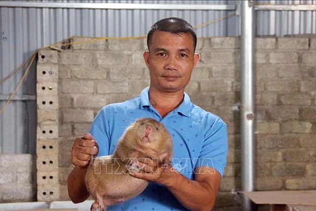 Anh Đỗ Văn Dũng giới thiệu sản phẩm dúi nuôi của trang trại. 