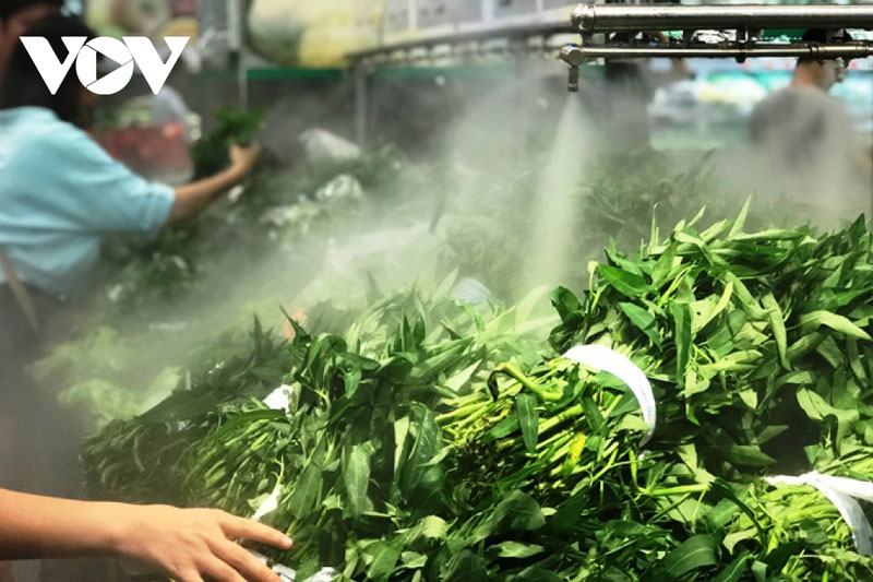 Chuỗi cung ứng vật tư phục vụ sản xuất nông nghiệp các tỉnh phía Nam đang bị tắc nghẽn