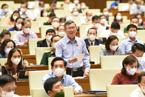 ĐBQH đề nghị sớm thông qua Luật Đất đai (sửa đổi) vào năm 2022
