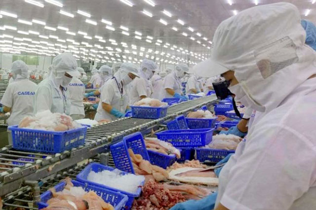 Xuất khẩu thủy sản sang EU tăng 20%