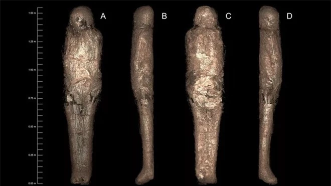 Mở quan tài Ai Cập 3.000 năm tuổi, phát hiện chi tiết kỳ lạ và rùng rợn về kén xác ướp - Ảnh 1.