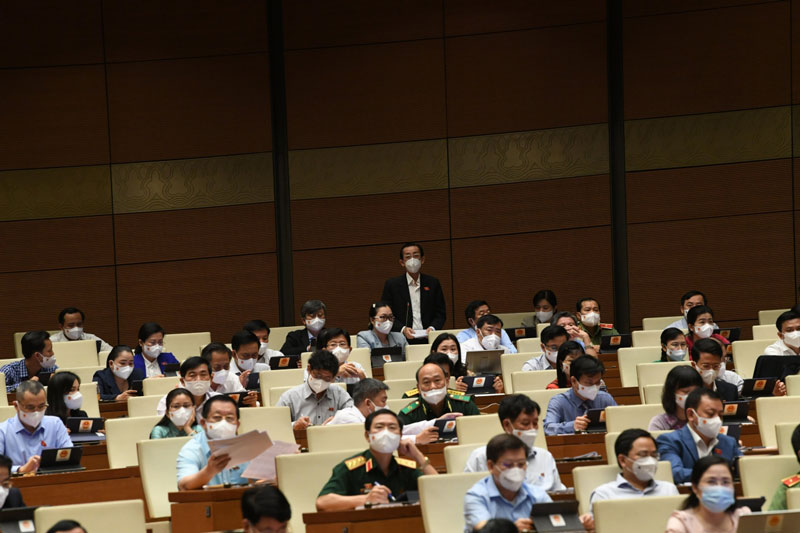 Đại biểu Quốc hội đề nghị giám sát gói hỗ trợ COVID-19, bổ nhiệm cán bộ