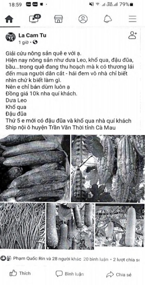 Thông tin thương lái không thu mua nông sản, nên người dân gặp khó khăn trong tiêu thụ và giá nông sản giảm.