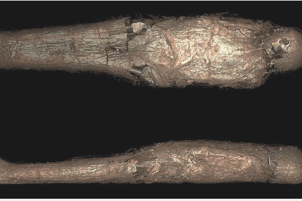 Mở quan tài 3.000 năm tuổi, phát hiện chi tiết kỳ lạ và rùng rợn về "kén xác ướp" của Ai Cập 