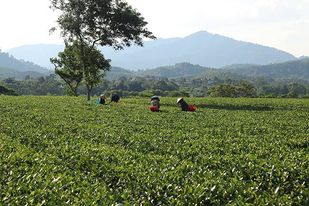 Tiềm năng du lịch cộng đồng ở miền biên cương Hà Tĩnh 