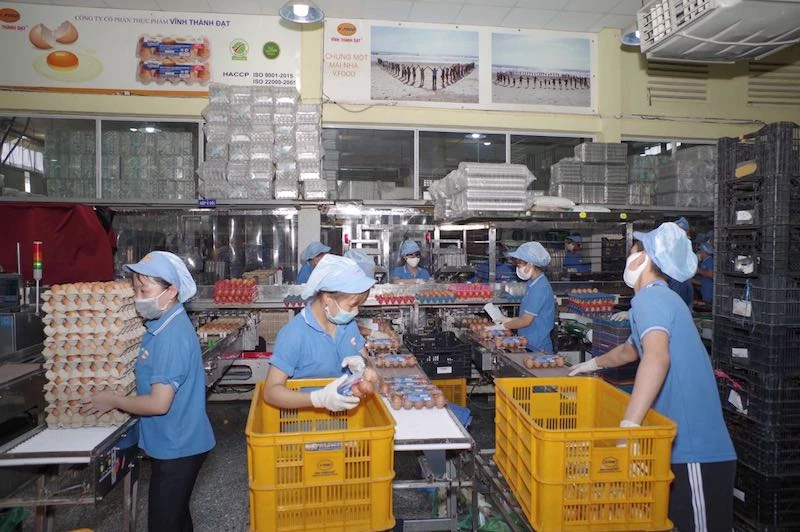 Nhờ áp dụng "3 tại chỗ", Công ty cổ phần thực phẩm Vĩnh Thành Đạt vẫn duy trì hoạt động thời gian qua.