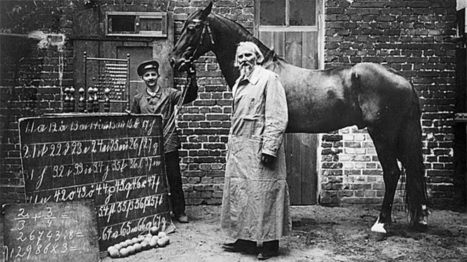 Đây là Hans - chú ngựa từng gây bão lịch sử nhân loại: Biết làm toán, nói được tiếng Đức và có một cái kết buồn - Ảnh 1.