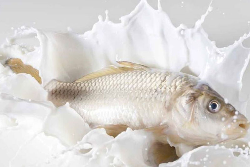 Những mẹo vặt đơn giản cho bà nội trợ, giúp khử hết sạch mùi tanh của cá