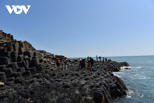Mê mẩn vẻ đẹp Gành Đá Đĩa - kiệt tác của thiên nhiên