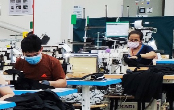 Cà Mau: Hỗ trợ doanh nghiệp được vay vốn để trả lương ngừng việc, phục hồi sản xuất