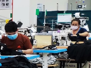 Cà Mau: Hỗ trợ doanh nghiệp được vay vốn để trả lương ngừng việc, phục hồi sản xuất