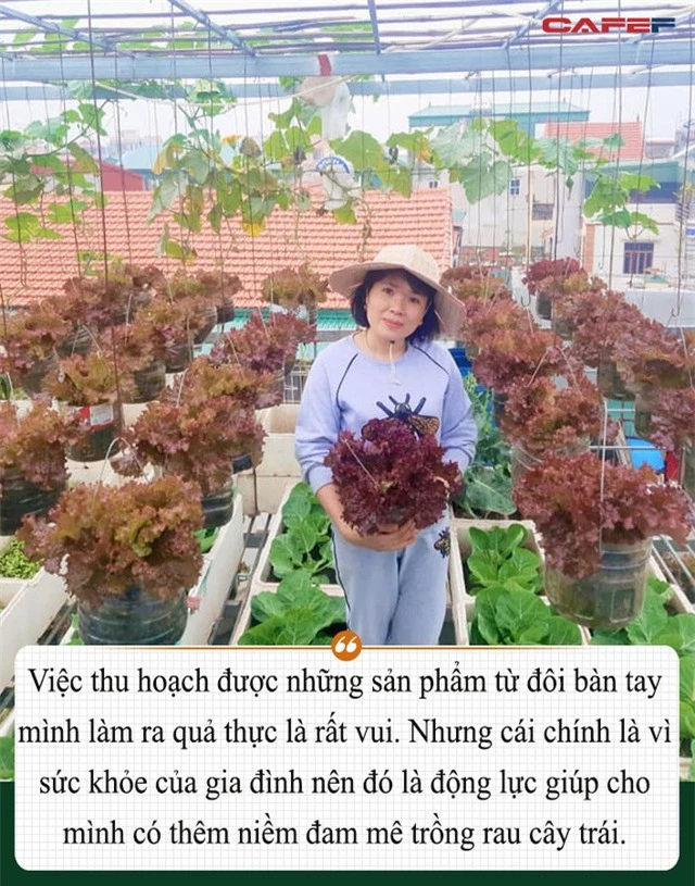 Khu vườn trên sân thượng đầy ắp rau quả xanh mướt ngay ở Hà Nội khiến ai cũng ước ao: Mùa nào thức nấy, rau xanh quả ngọt lại đảm bảo sạch sẽ! - Ảnh 20.