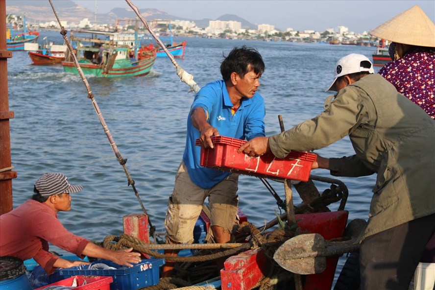 Lao động bốc vác bị ảnh hưởng dịch COVID-19 có được hỗ trợ không?