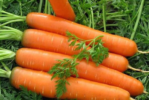 Những lưu ý khi ăn cà rốt bạn cần nhớ