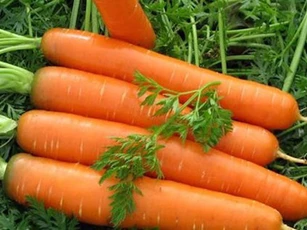 Những lưu ý khi ăn cà rốt bạn cần nhớ