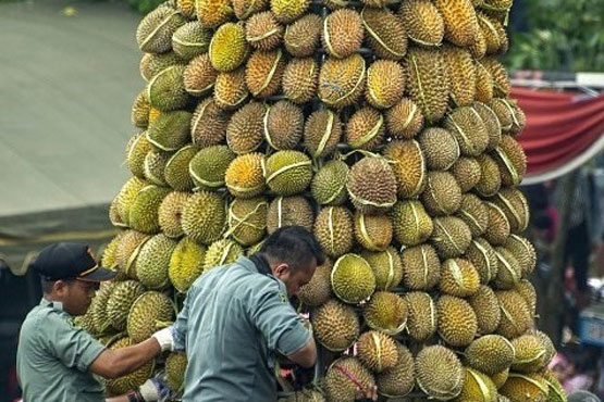 Ngỡ ngàng sự thật sau màn rao bán sầu riêng "không chạm đất", giá 2,7 triệu/quả
