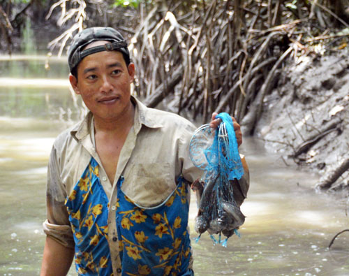 Trải nghiệm thú vị ở rừng ngập mặn lớn nhất Việt Nam