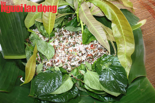 Thưởng thức món gỏi kiến vàng trứ danh của người Rơ Măm