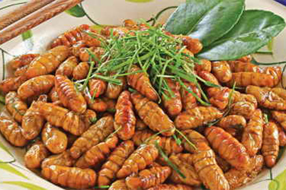 5 món ngon, bổ dưỡng chế biến từ nhộng tằm