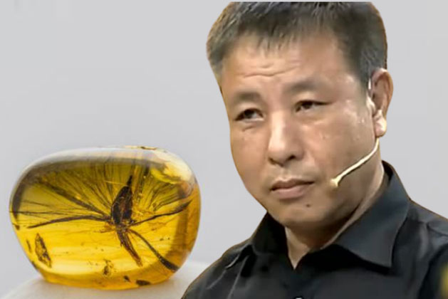 Cảnh sát trưởng mang sợi dây chuyền mình tịch thu được đi kiểm định, chuyên gia kinh ngạc: Mau trả lại đi!