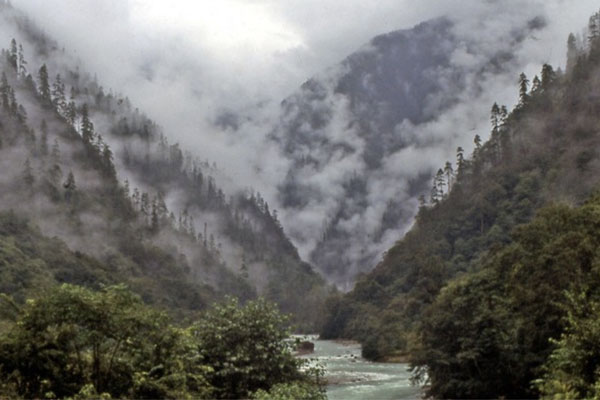 Đi tìm lời giải về thung lũng Tre đen, tử địa hút linh hồn tại Trung Quốc