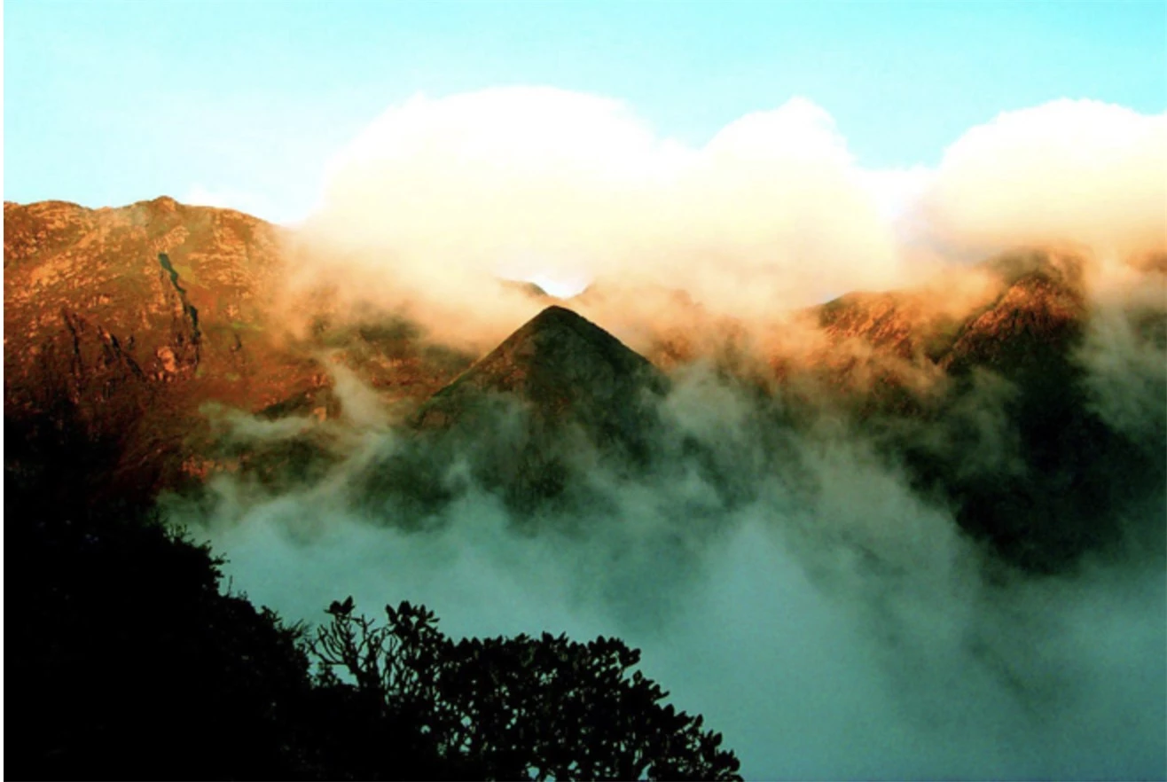 Đi tìm lời giải về thung lũng Tre đen, tử địa hút linh hồn tại Trung Quốc