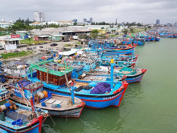 Trong ngày 26/7 TP Đà Nẵng đã phát hiện 20 ca mắc COVD-19 liên quan chuỗi lây nhiễm cảng cá Thọ Quang