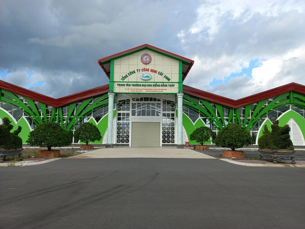 Nông dân làng hoa Sa Đéc điêu đứng vì dịch COVID-19
