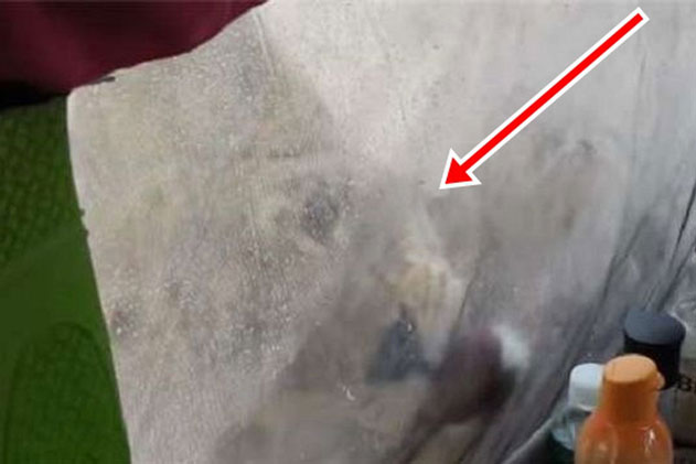 Đi cắm trại ngủ lại trong rừng, cảnh tượng xuất hiện ngay khi vừa ngủ dậy khiến cả nhóm người ngồi im không dám nhúc nhích