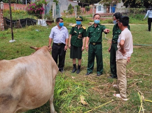 Kỷ niệm 74 năm Ngày Thương binh - Liệt sĩ: Tấm lòng thơm thảo của  nữ cựu chiến binh