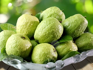 Tại sao ăn ổi giúp tăng cường sức khỏe hệ miễn dịch?