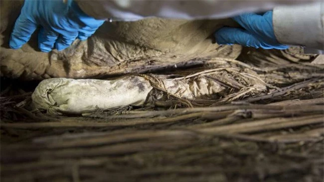 Chụp X-quang quan tài chứa xác ướp 300 tuổi của người đàn ông, các nhà khoa học phát hiện "bọc lạ" dưới chân rồi sốc khi biết đó là thai nhi - Ảnh 2.