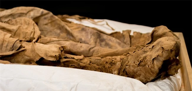 Chụp X-quang quan tài chứa xác ướp 300 tuổi của người đàn ông, các nhà khoa học phát hiện "bọc lạ" dưới chân rồi sốc khi biết đó là thai nhi - Ảnh 3.
