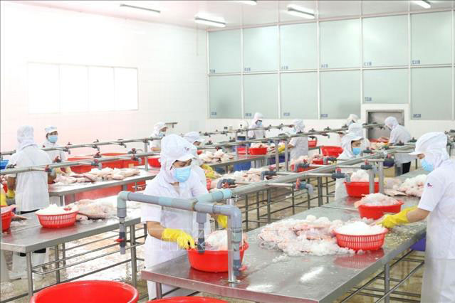 TP H&#x1ED3; Ch&#xED; Minh &#x1B0;u ti&#xEA;n ch&#x1ED1;ng d&#x1ECB;ch, nh&#x1B0;ng kh&#xF4;ng qu&#xEA;n doanh nghi&#x1EC7;p