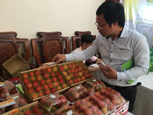 Xuất khẩu nông sản sang Anh: Doanh nghiệp Việt phải sản xuất theo Global GAP hoặc Euro GAP