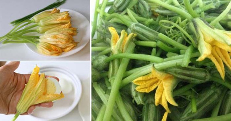 Hoa bí - Thực phẩm "vàng" cho sức khỏe