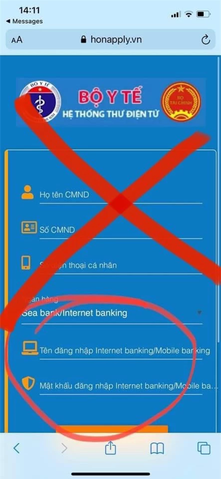 Cảnh báo thủ đoạn giả mạo website của Bộ Y tế để lừa đảo trợ cấp COVID-19 - Ảnh 2.