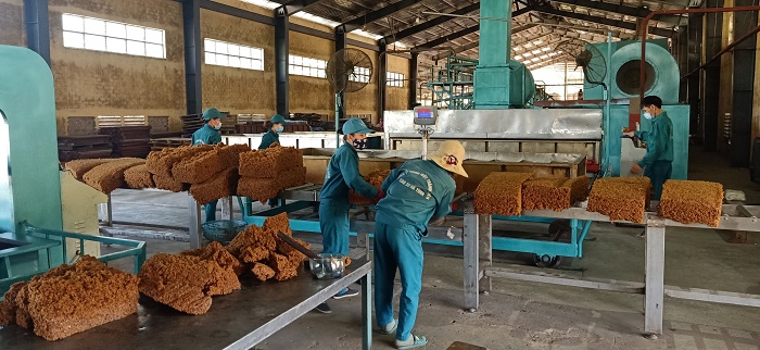 Tập đoàn Công nghiệp cao su Việt Nam lãi lớn trong nửa đầu năm 2021
