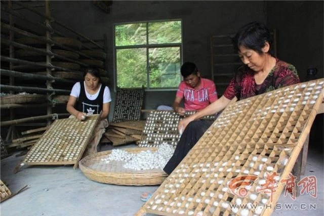 Ông lão mò vàng bên sông đào được một “con tằm vàng”, được trả giá cao nhưng ông nhất quyết không bán mà làm việc này - Ảnh 5.