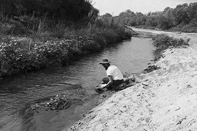 Ông lão đãi vàng bên sông và tìm được một “con tằm vàng”, dù được trả giá cao nhưng ông nhất quyết không bán mà làm việc này!