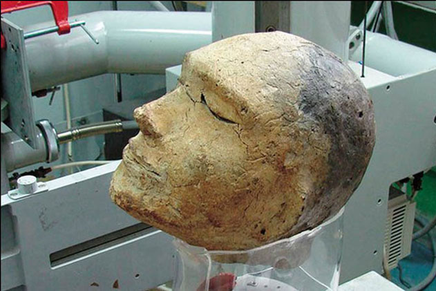 Mang hộp sọ 2000 năm đi kiểm tra, các chuyên gia ‘chết lặng': Đây không phải đầu của con người!