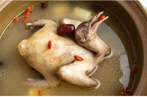 Đây là loài vật bổ gấp 9 lần thịt gà, được mệnh danh là "thuốc bổ thượng phẩm" giúp phụ nữ hồi xuân và "miễn dịch" nhiều loại bệnh