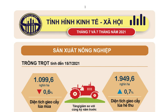 Bức tranh kinh tế Việt Nam 7 tháng đầu năm 2021