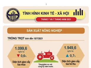 Bức tranh kinh tế Việt Nam 7 tháng đầu năm 2021