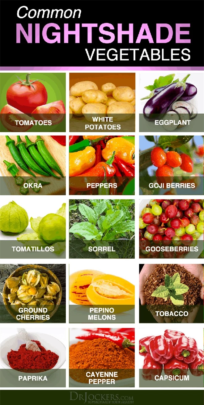 Những điều bạn chưa biết về khoai tây: có họ hàng với cà chua, cà tím và nhiều cây có độc, tự sản sinh chất độc thần kinh khi mọc mầm - Ảnh 1.