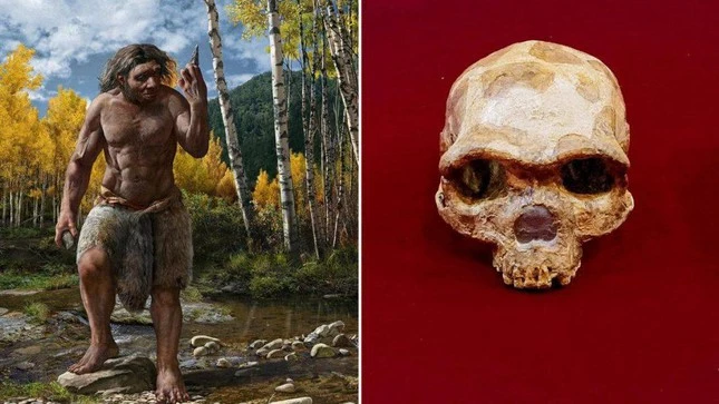 Hộp sọ Cáp Nhĩ Tân được cho là thuộc về một loài người mới chưa từng được biết tới trước đây đã tuyệt chủng: Người Rồng (Homo longi).