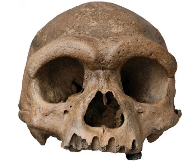 Hộp sọ bí ẩn được tìm thấy ở Cáp Nhĩ Tân, Trung Quốc.