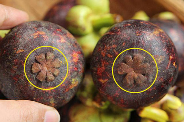 Mua măng cụt nhớ 4 điều này thịt bên trong vừa dày lại trắng, ngọt