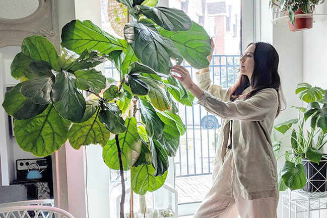 6 chỗ "bẩn thấy ghê" nhưng lại hay bị bỏ qua khi dọn dẹp nhà cửa