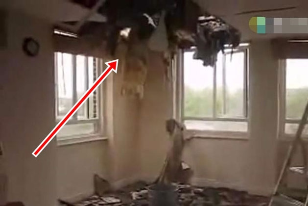 Phát hiện vết nứt nhỏ trên trần của căn nhà mới mua, chủ nhà trèo lên kiểm tra, không ngờ suýt chết